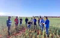 Mallee Sustainable Farming unveils bold strategic plan post image