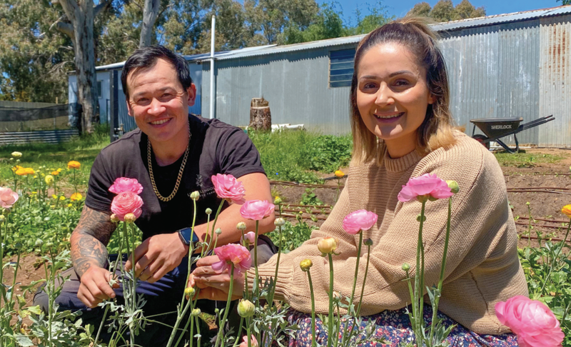 Every plant has a story to tell at Fitzy’s Natives & Horticulture Services post image