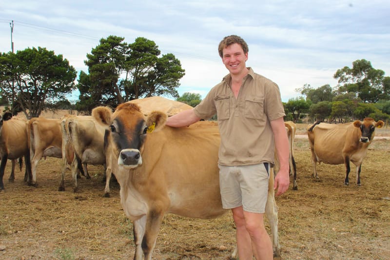 Pet cow ignited James’s dairy passion post image