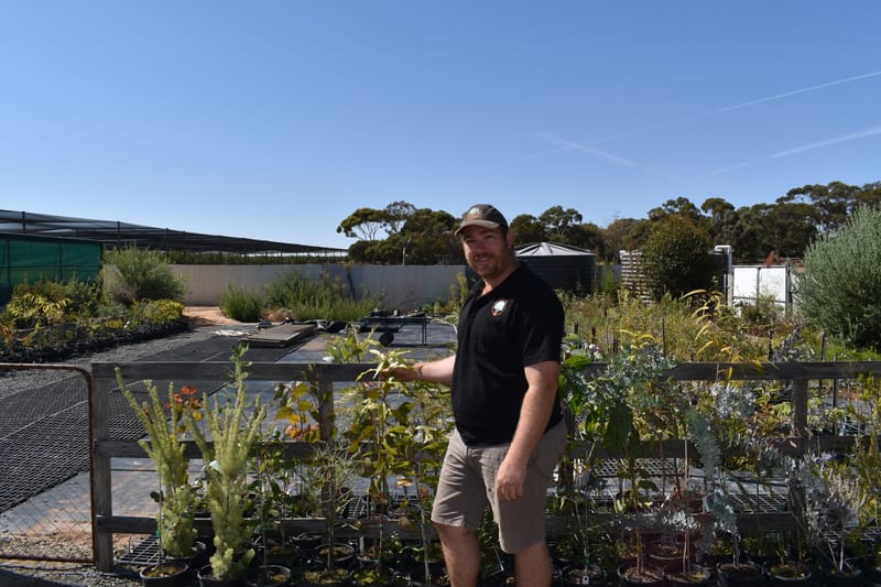 Planty of love for native species in Loxton post image
