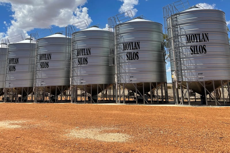 Importance of grain storage hygiene against pests post image
