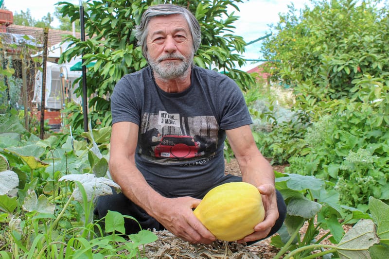 Garden reconnects people with their backyards post image