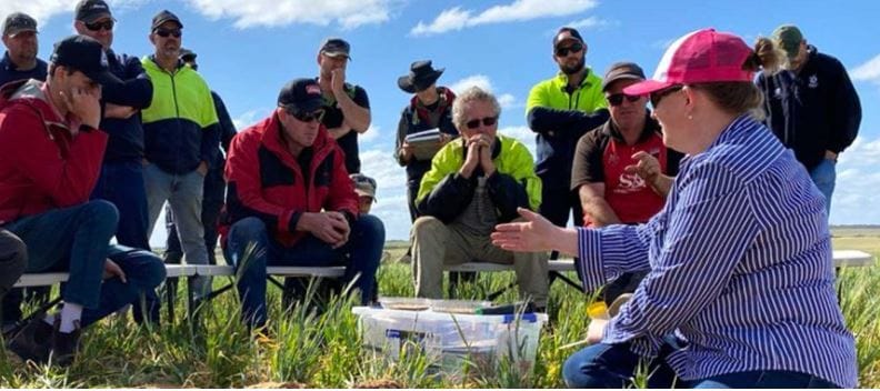 Grain grower masterclasses for sandy soils post image