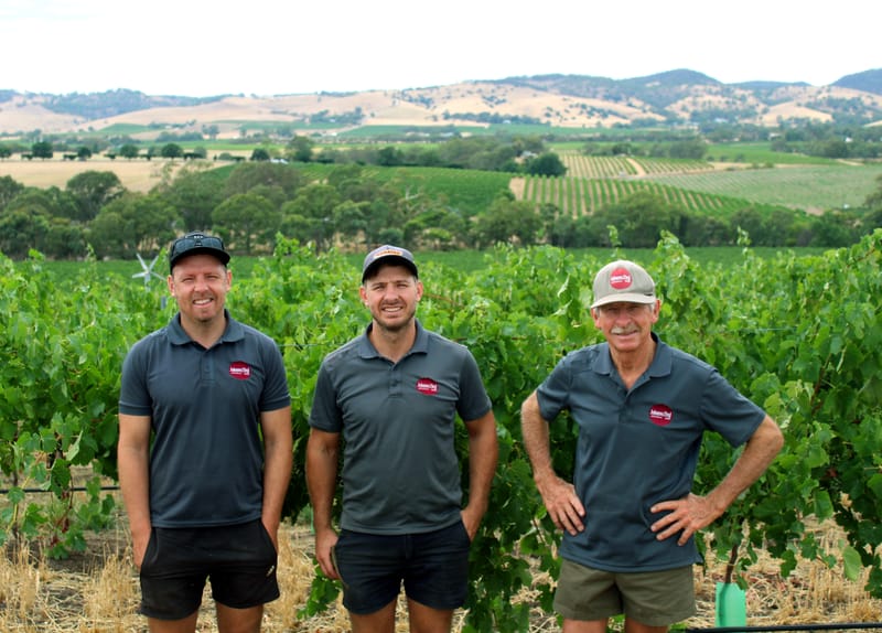 Schiller family find a way to keep on growing post image