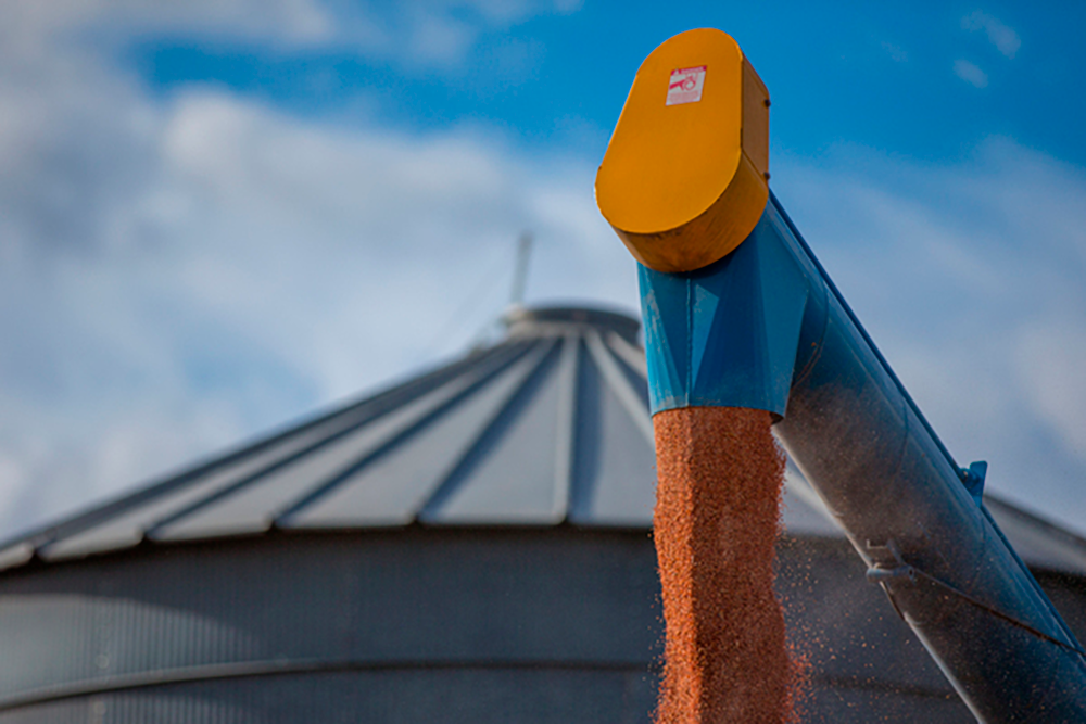 Record ag exports despite disruptions post image