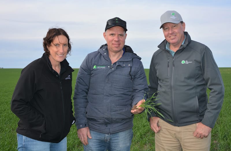 Resilience projects under way post image