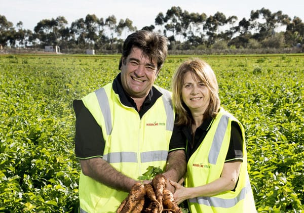 Family at the heart for Marrone Fresh post image