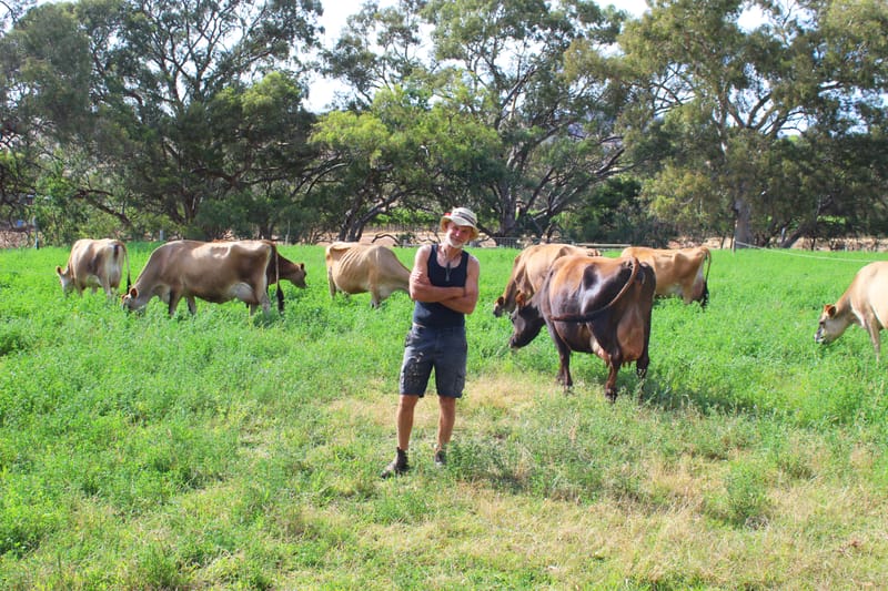 Old-school mixed farming the key to Michael's success post image