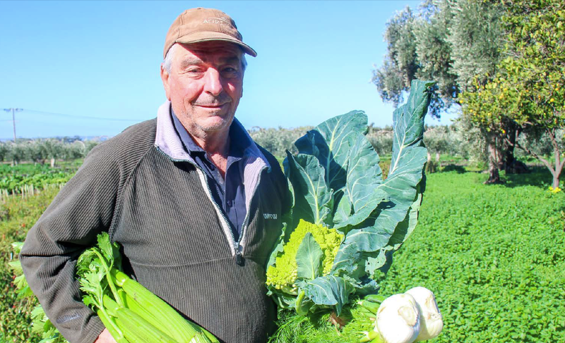 Patlin Gardens’ organic produce an icon of Adelaide Farmers Market post image