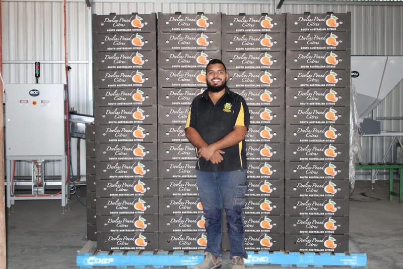 New trade deal to bring new markets and new opportunities post image