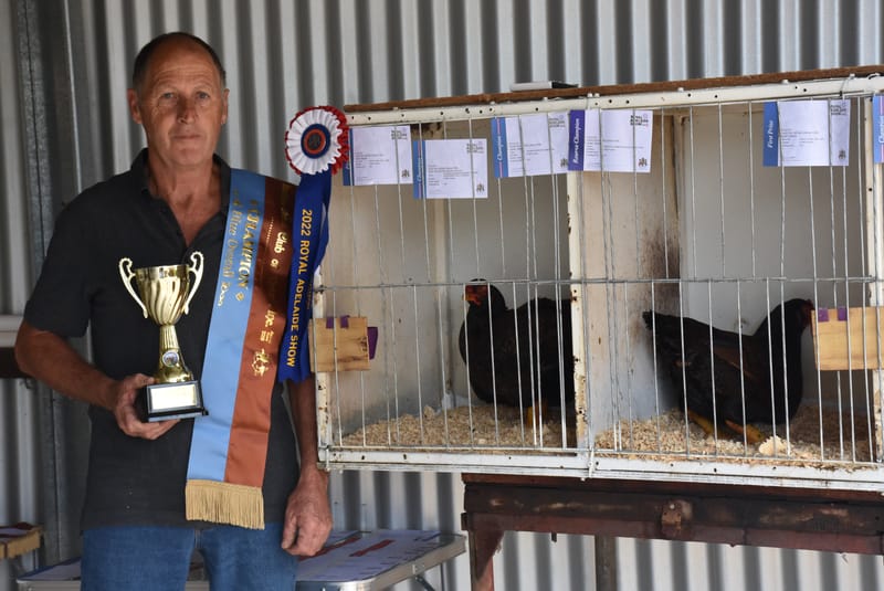 Bird is the word for local competitive chook breeder post image