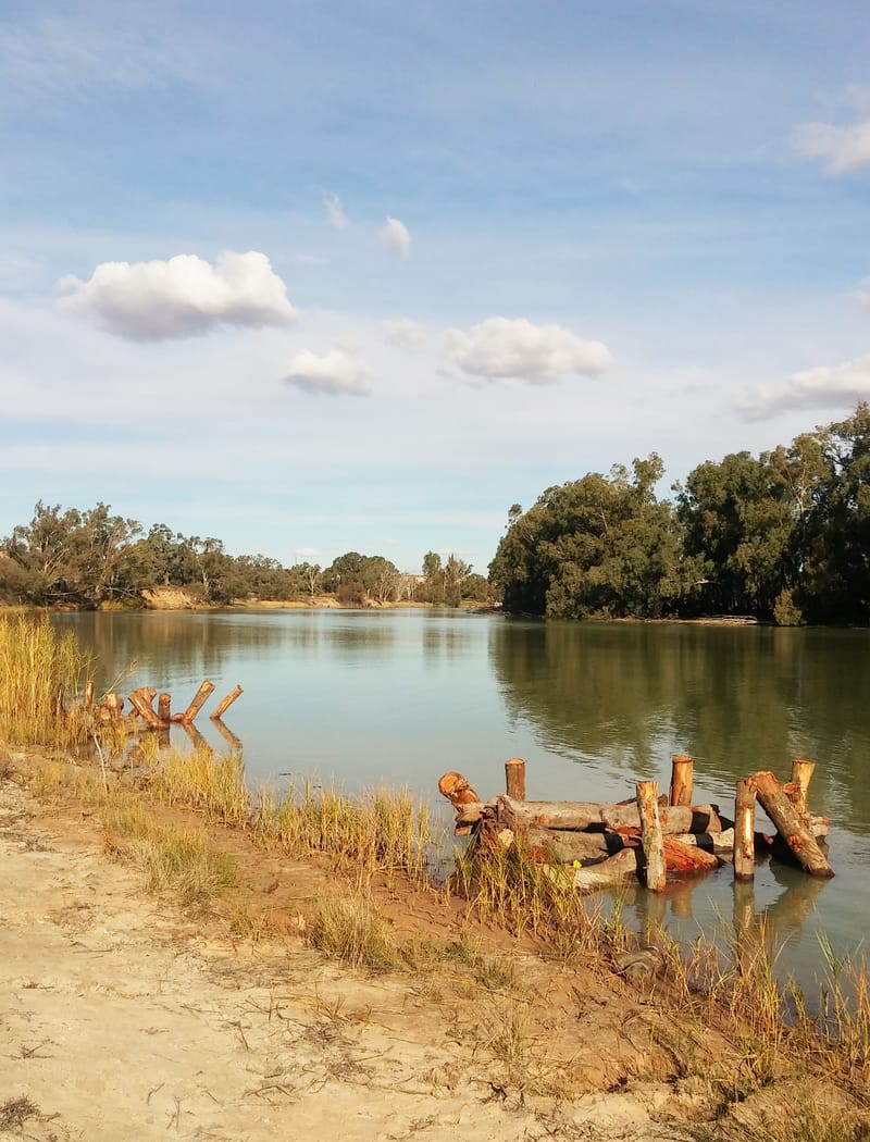 Riverland wineries hit a snag – and help out the river post image