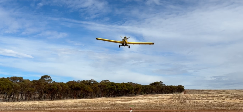Snail and slug baiting methods put to the test post image