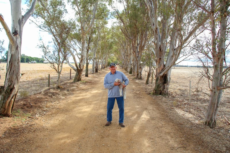 104 years of Newbold: Family first for sheep farming dynasty post image