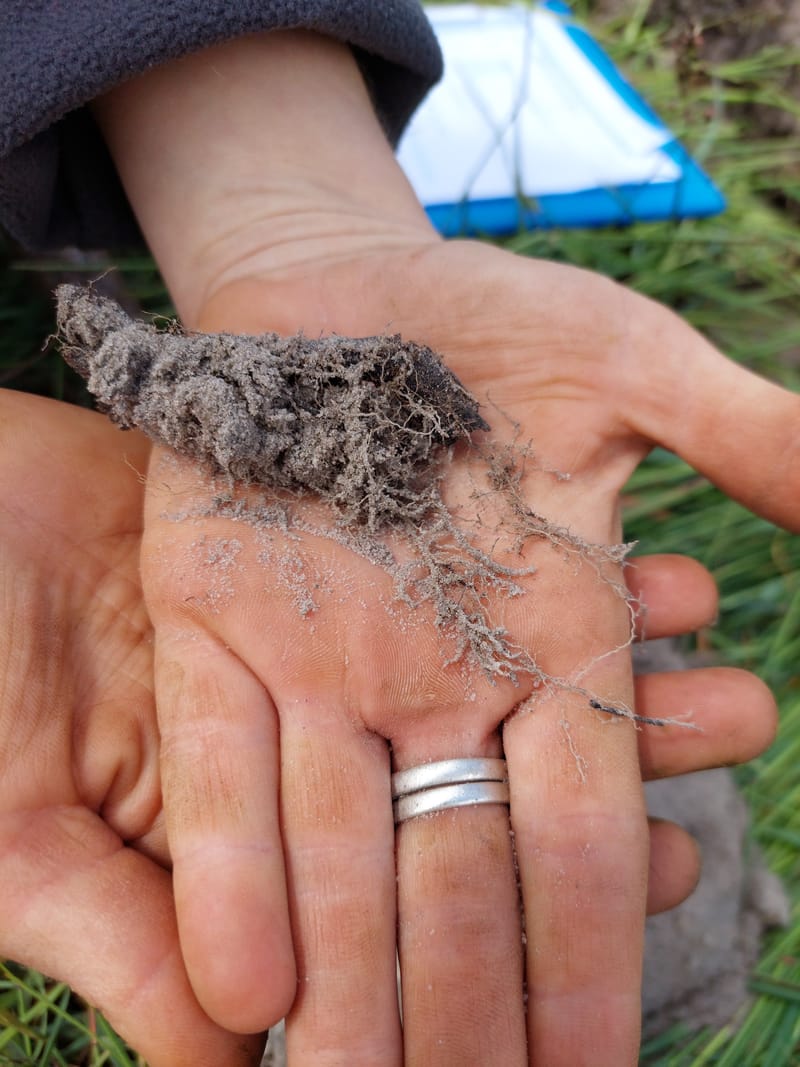 New project focuses on farming in a changing soil environment post image