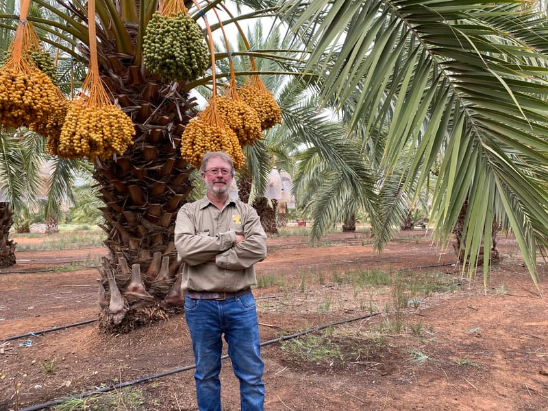 A date with history post image