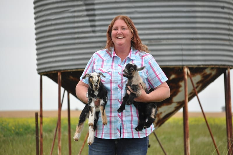 Goats abound at Lameroo post image