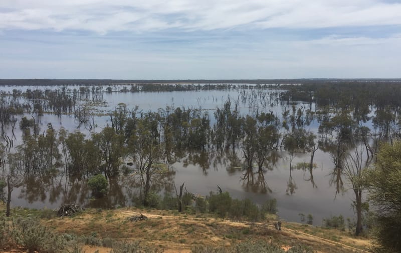 Dry end to 2021, but rain storages remain strong post image