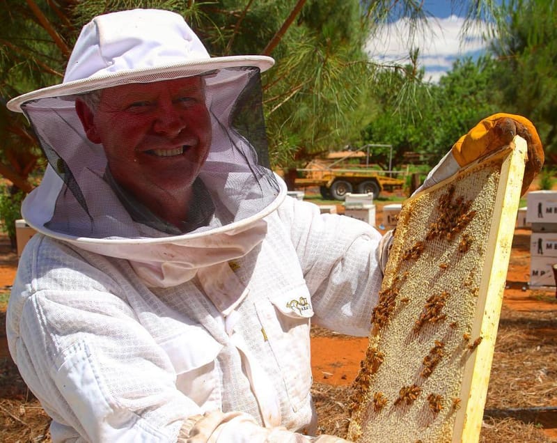 Beekeeper’s varroa forecast... buzzkill post image