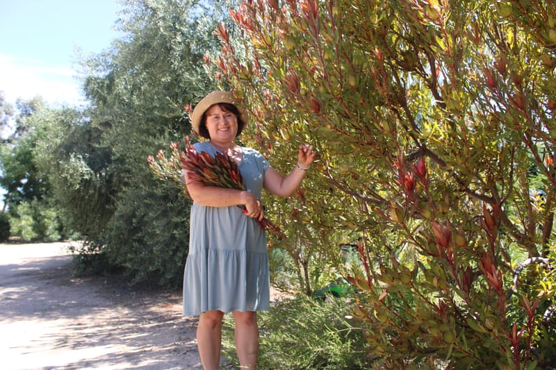 Natasha’s passion for flowers leads to fulfilment post image