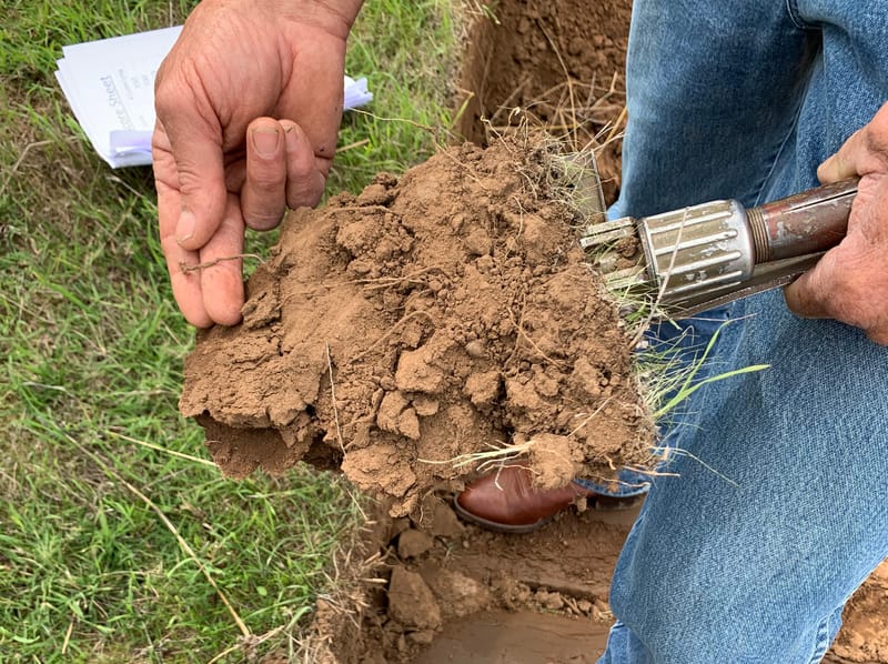 Free soil advice for Riverland and Murraylands post image