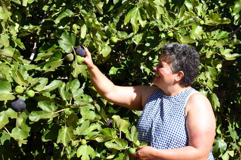 Award-winning Riverland dried fruit? It's a pretty fig deal post image