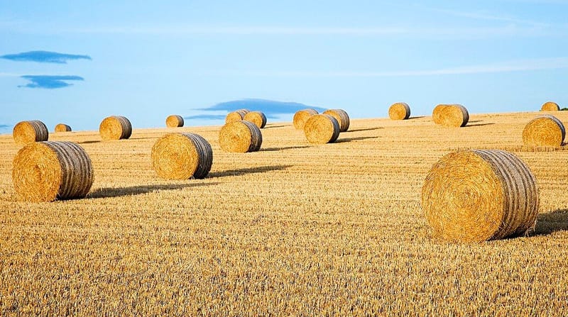 Need for Feed travels to South Australia post image