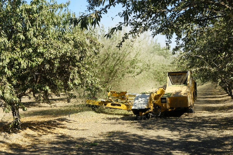 Almond industry addresses threat post image