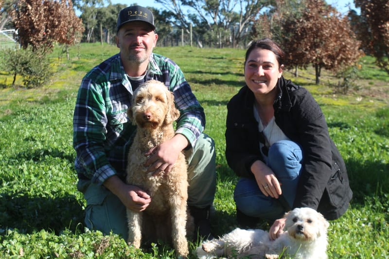 Kelley family on mission to turn Barossa Valley into truffle town post image