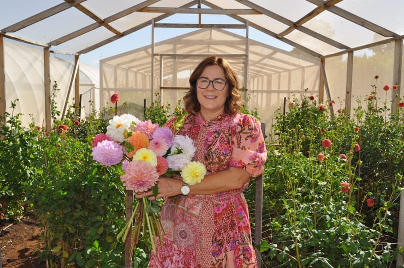 Coco & Honey the pick of the bunch post image