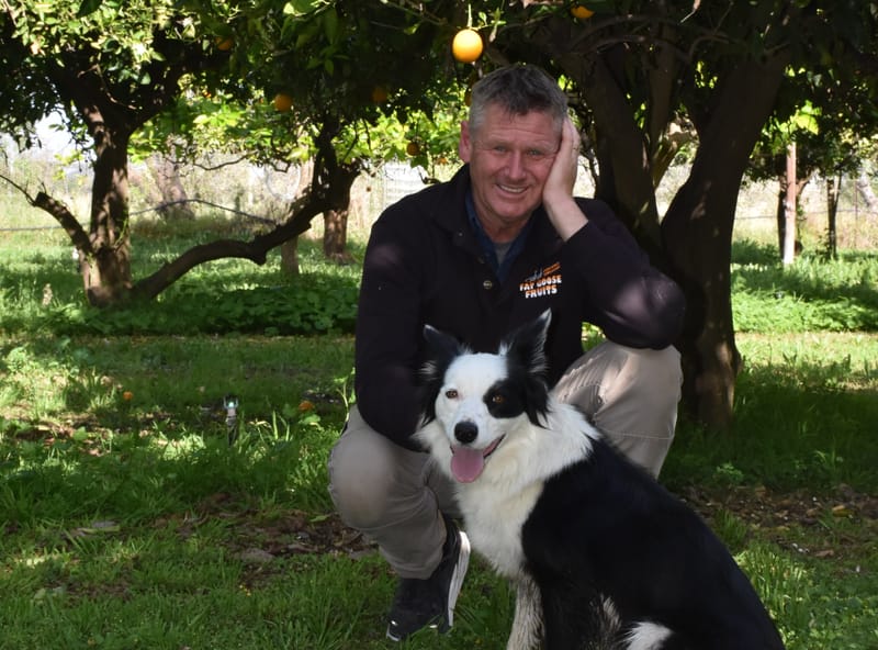 Take a gander at Fat Goose Fruits post image