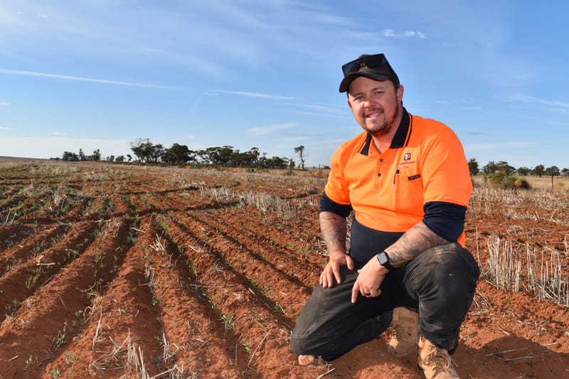 The lentil way post image