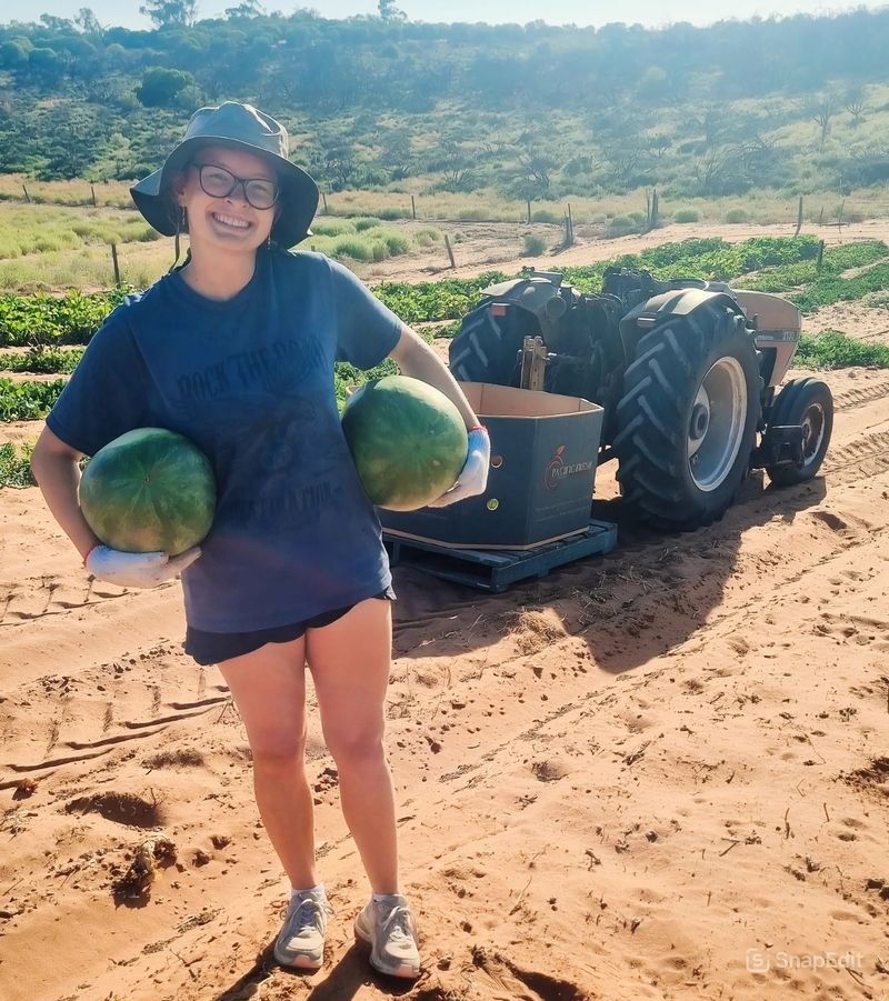 Harvesting produce is a travel delight post image