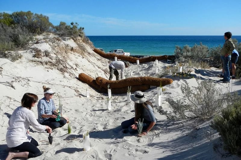 Landscape projects get the go ahead with $1.29m funding post image