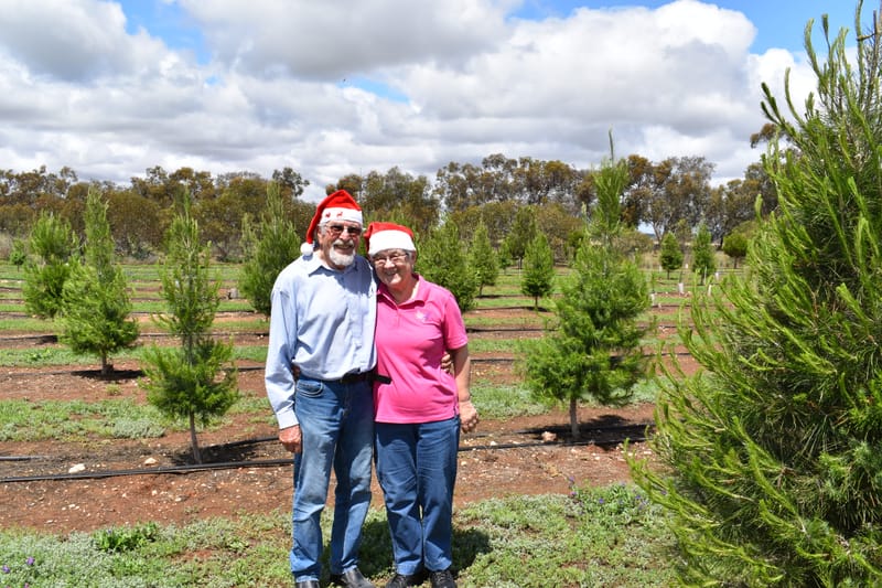 It’s beginning to look a lot like Christmas post image