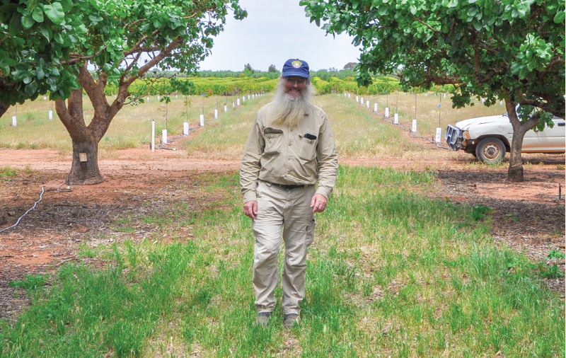 Permedah going nuts for pistachios post image