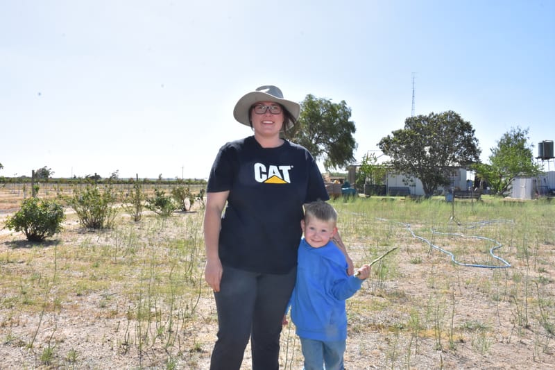 Providing quality vegetables to the Riverland post image