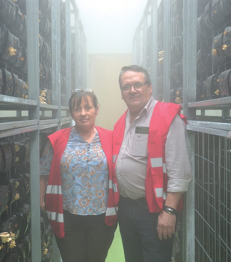 Mushrooms grow in former lion’s den post image