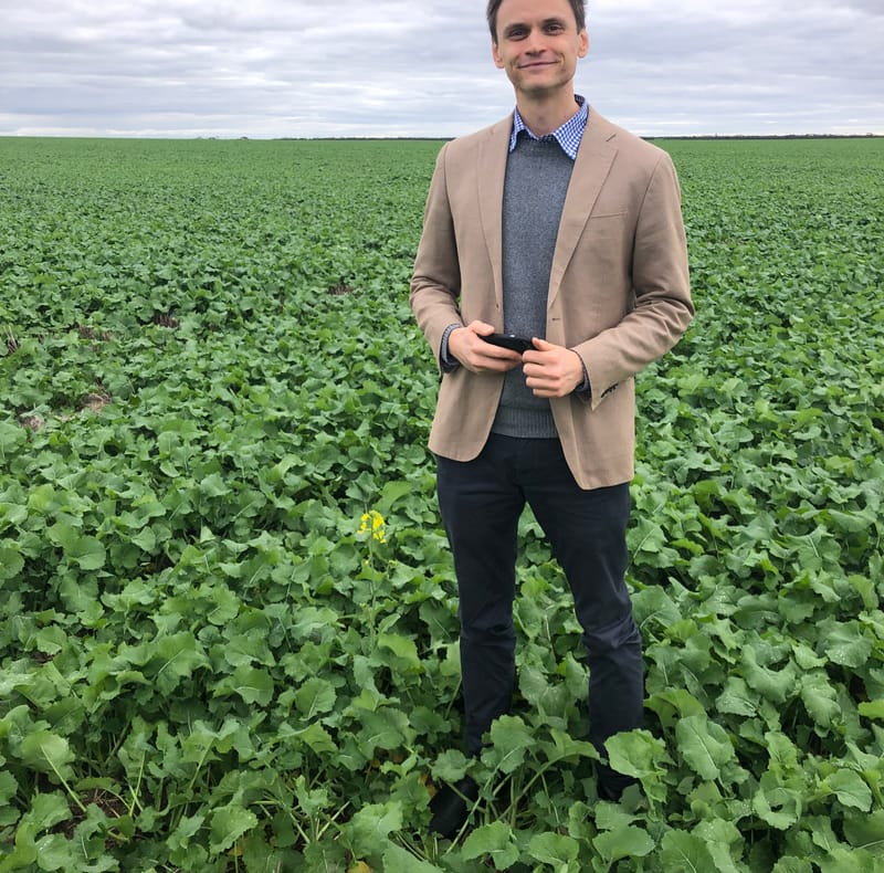 Grain harvest expected to break records post image