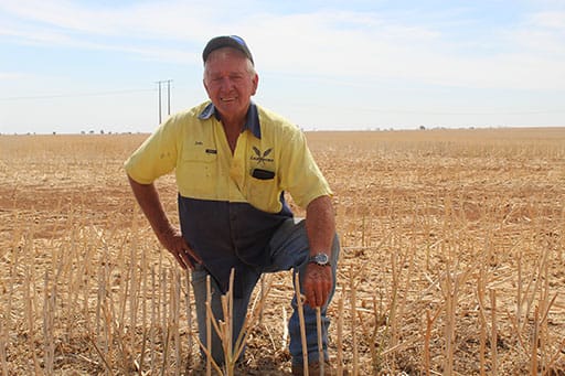 John Lush, Mallala dryland farmer, Adelaide Plains councillor post image