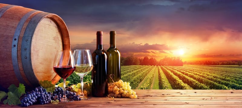 WEA helping South Aussies known, and enjoy wine post image