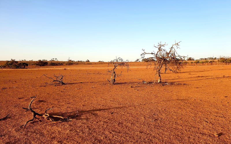 Practical podcasts for drought preparedness post image