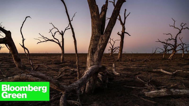 VIDEO: Experts raise concerns about declining Murray-Darling health post image