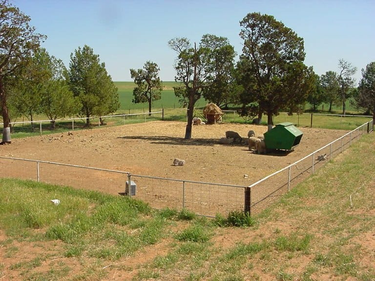 Caring for stock in challenging weather conditions post image