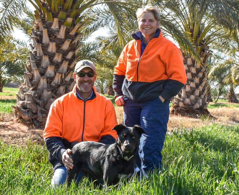 Not a woolly winter for this Black Sheep post image