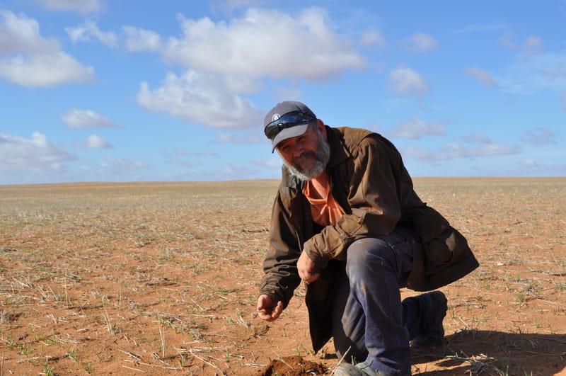 State’s farmers still struggle with drought impacts post image