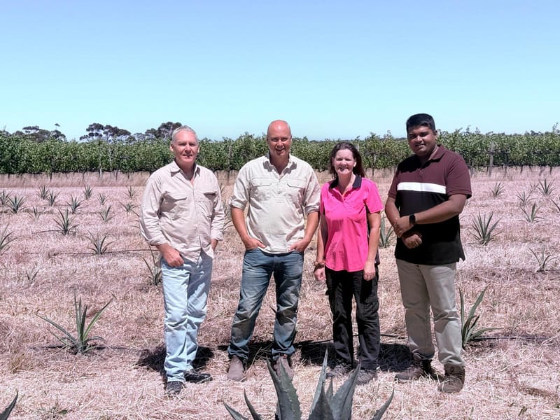 Riverland growers explore agave industry prospects at specialist workshop post image
